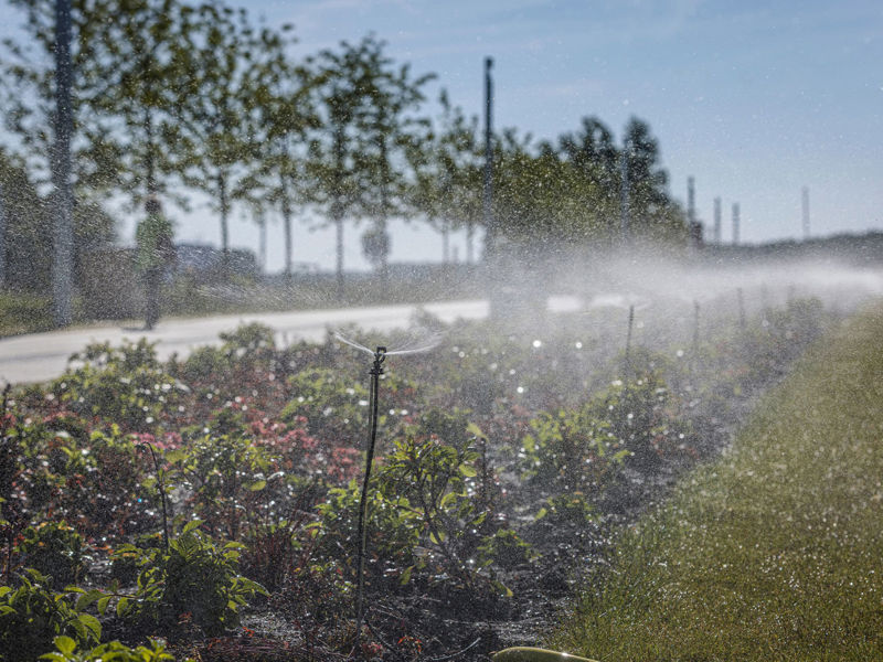 Floriade Expo (89)