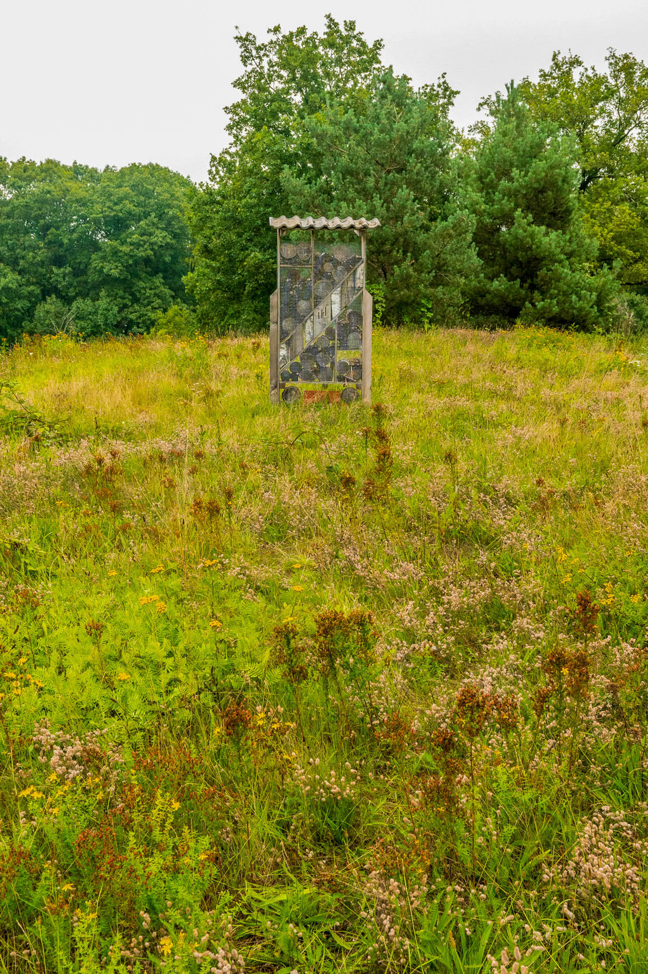 medewerker van donker groen meet boom op in nieuwe groeiplaats
