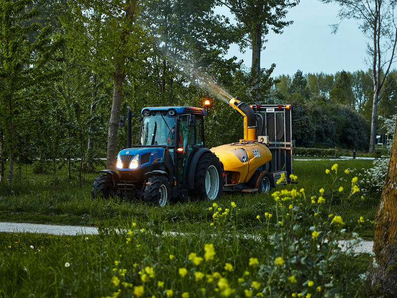 Eikenprocessierups (31)