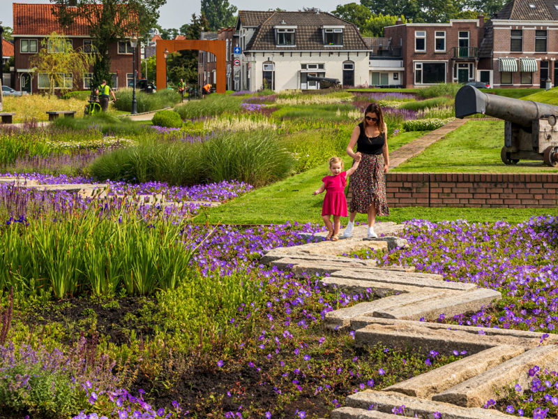 Homepage Header