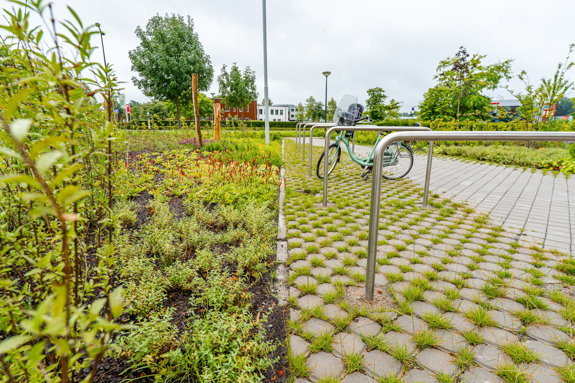 Rabobank Enschede (9)