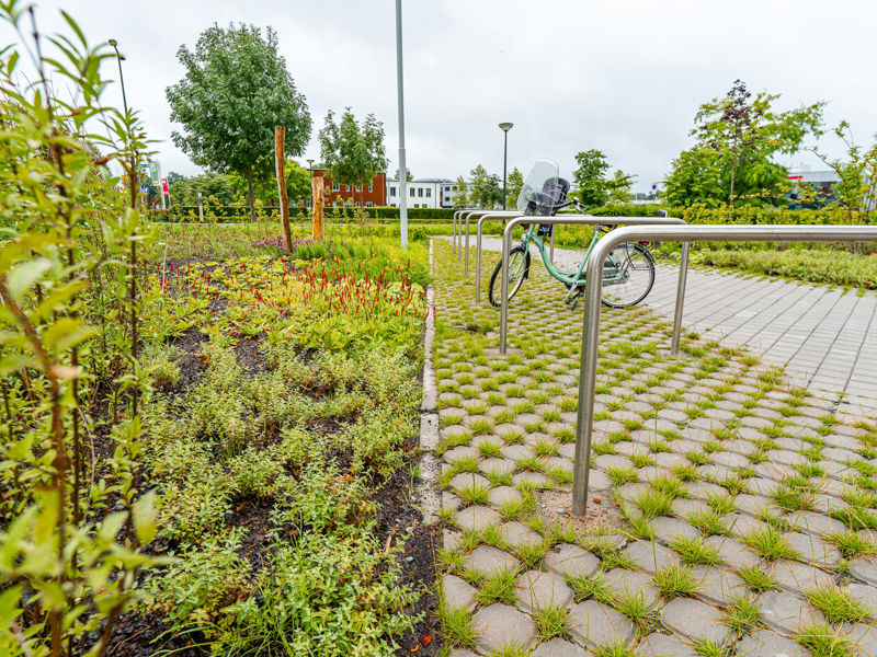 Rabobank Enschede (9)