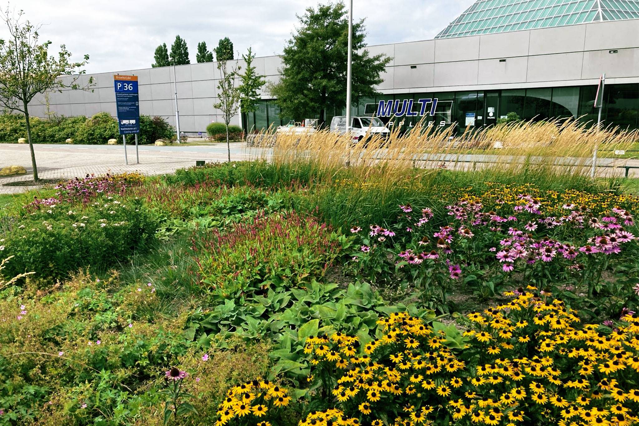 Royal FloraHolland - Groenonderhoud - Donker Groen