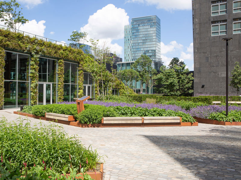 Circl ABN AMRO Amsterdam (15)