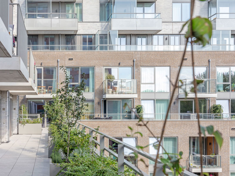 daktuin in amsterdam