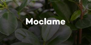 Moclame
