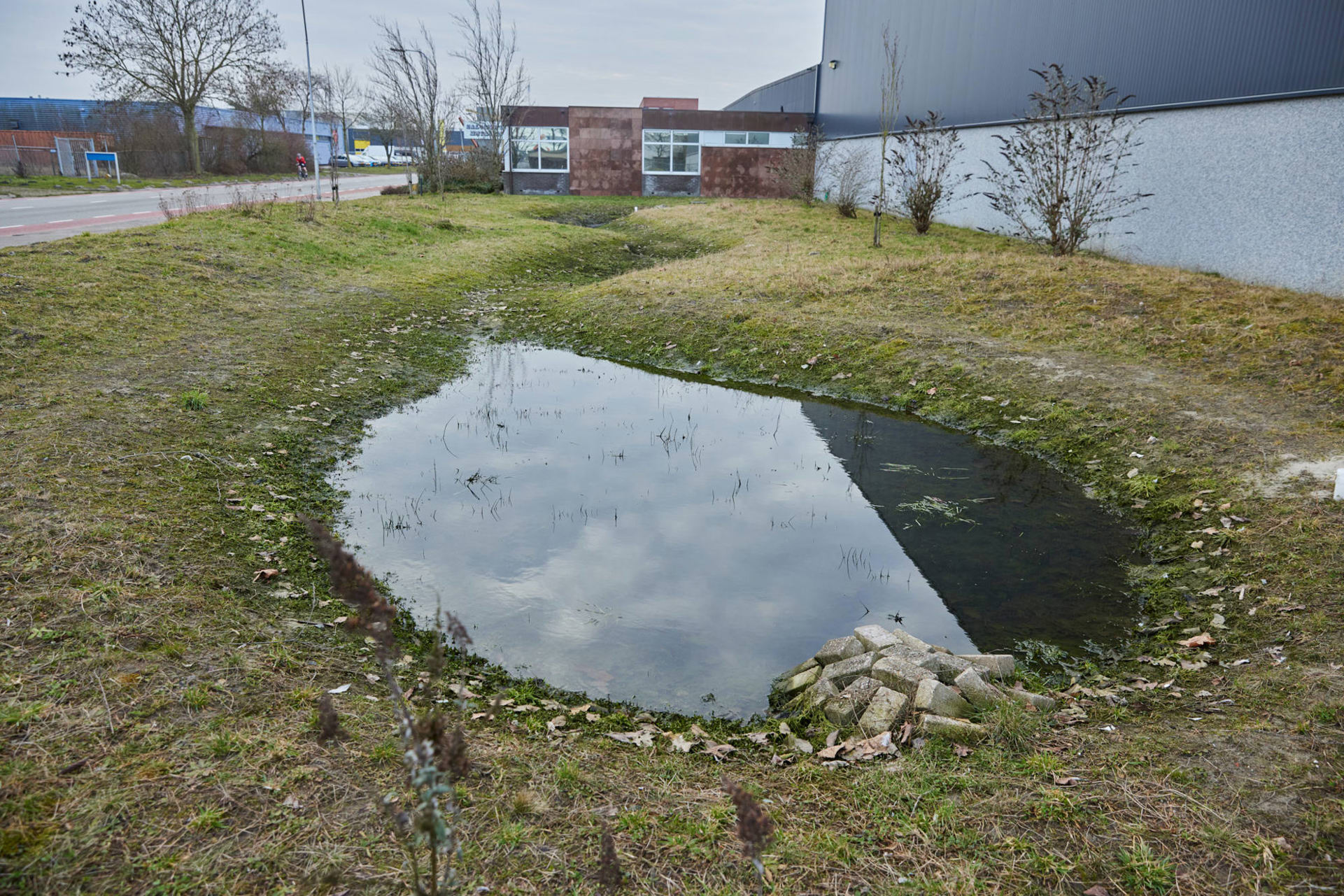 Donkergroen Euvelgunne 7LR