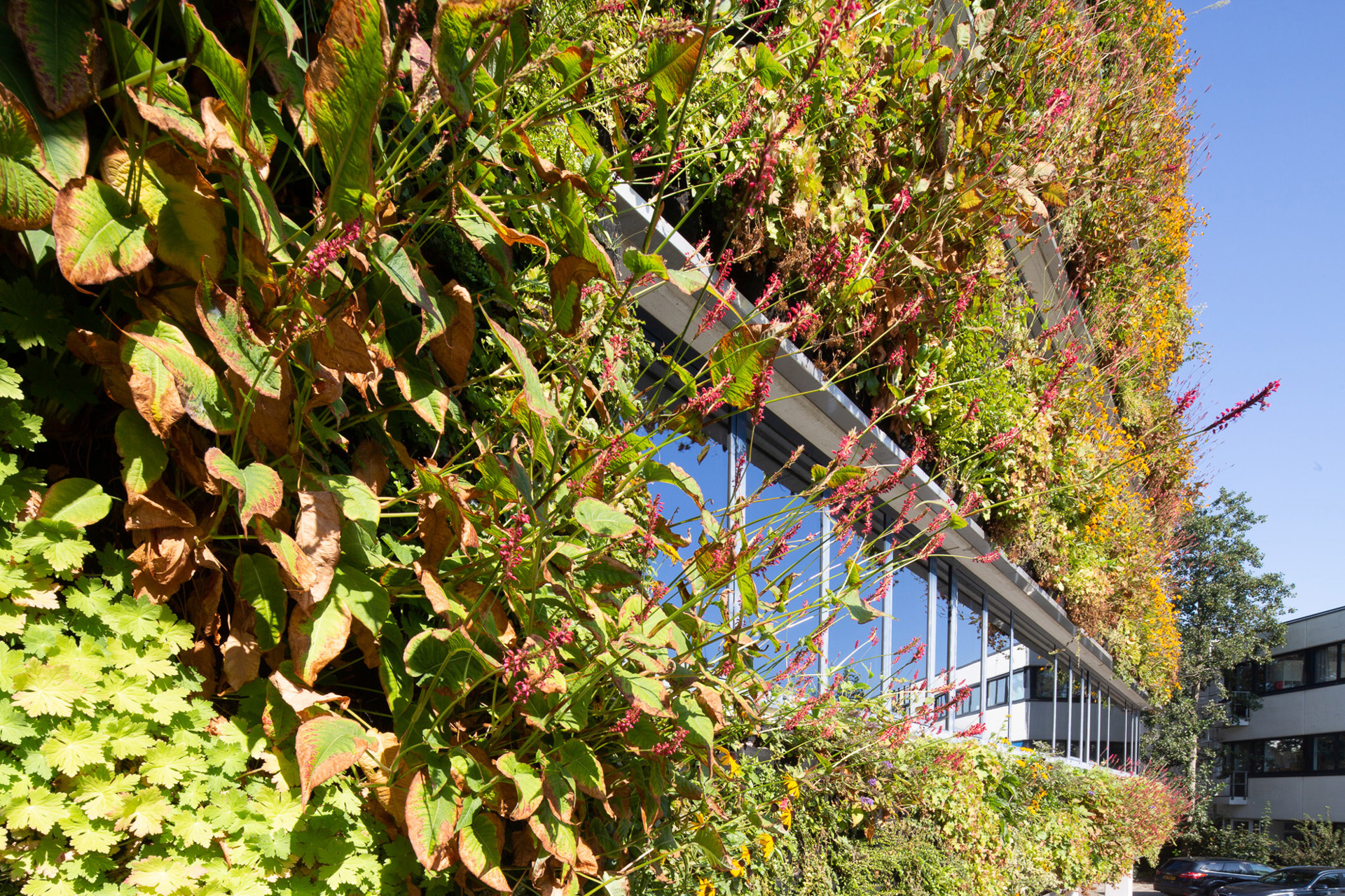 Meetinoffice Woerden (7)