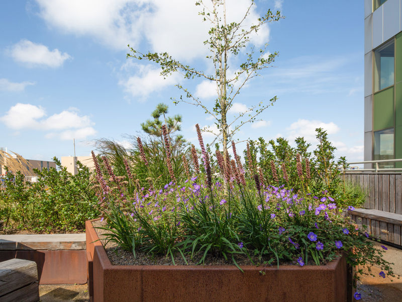 Royal Floraholland Naaldwijk (8)