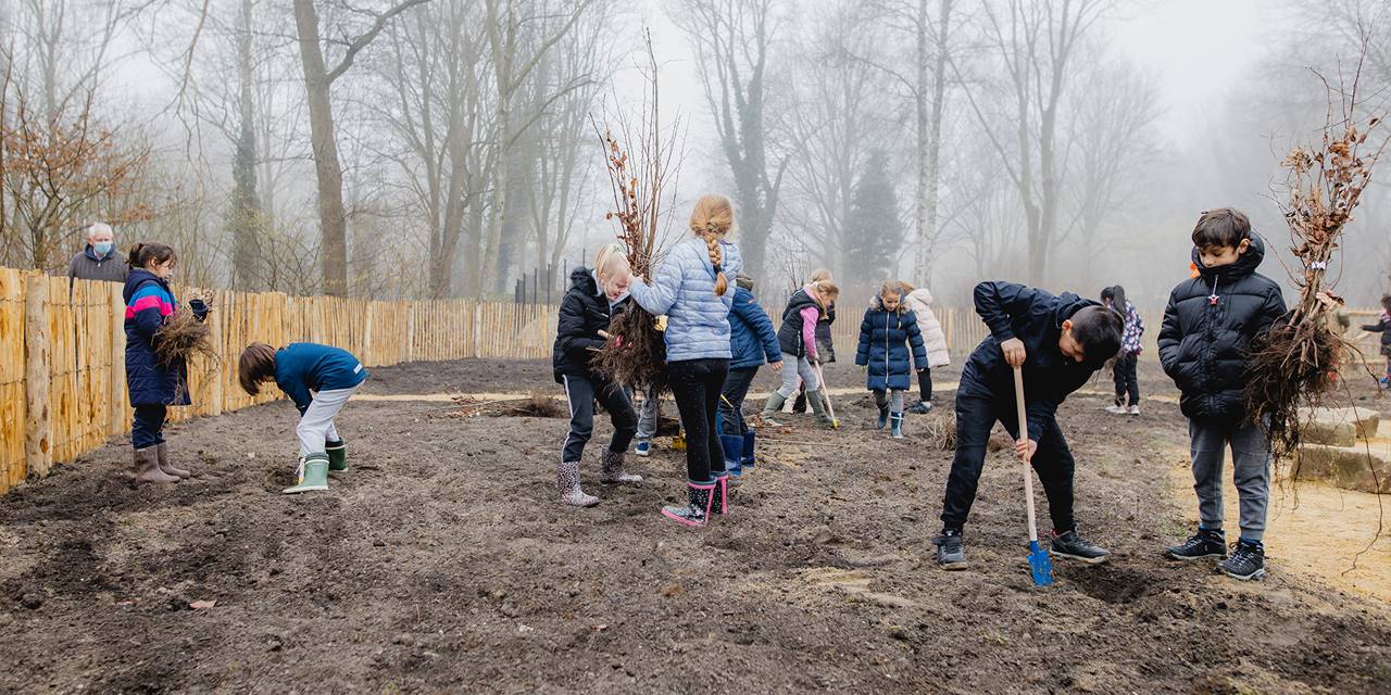 Tiny forest aanleg door basisschool kinderen