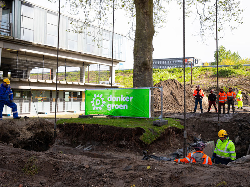 Boomverplanting (6)