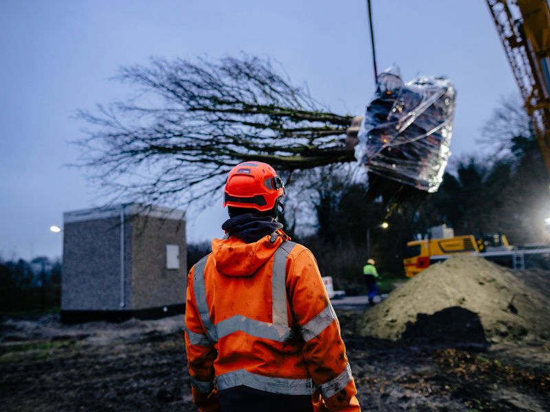 Anothermotion Donkergroep Fotoseriehaarlem11122025 HR 06