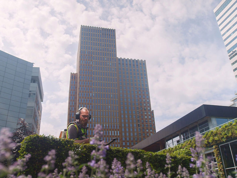 Foto van een tuinman die een daktuin aan het onderhouden is