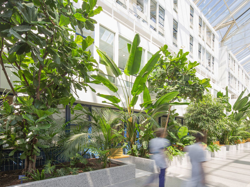 Dijklander Ziekenhuis Purmerend (15)