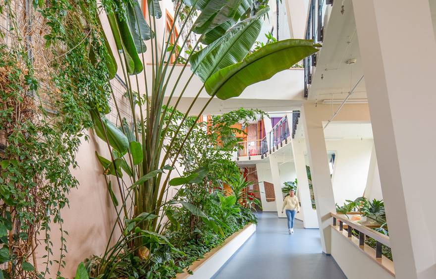 planten in een ziekenhuis die het herstel van patiënten bevordert 