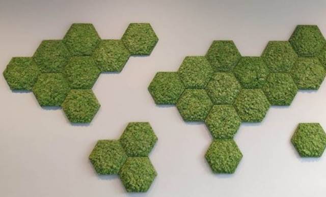 Hexagon rendiermos Image