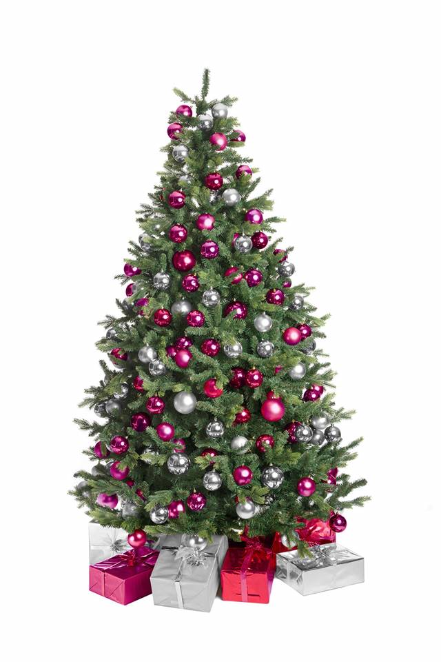 Kerstboom Fuchia Image