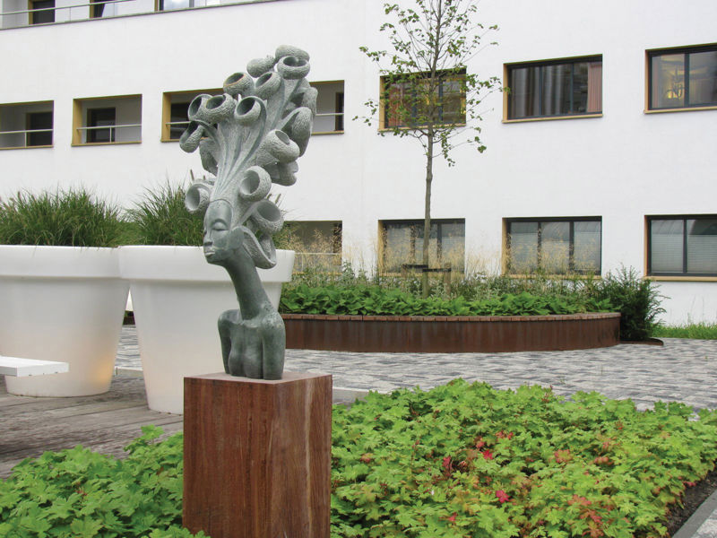 Martini Ziekenhuis (2)