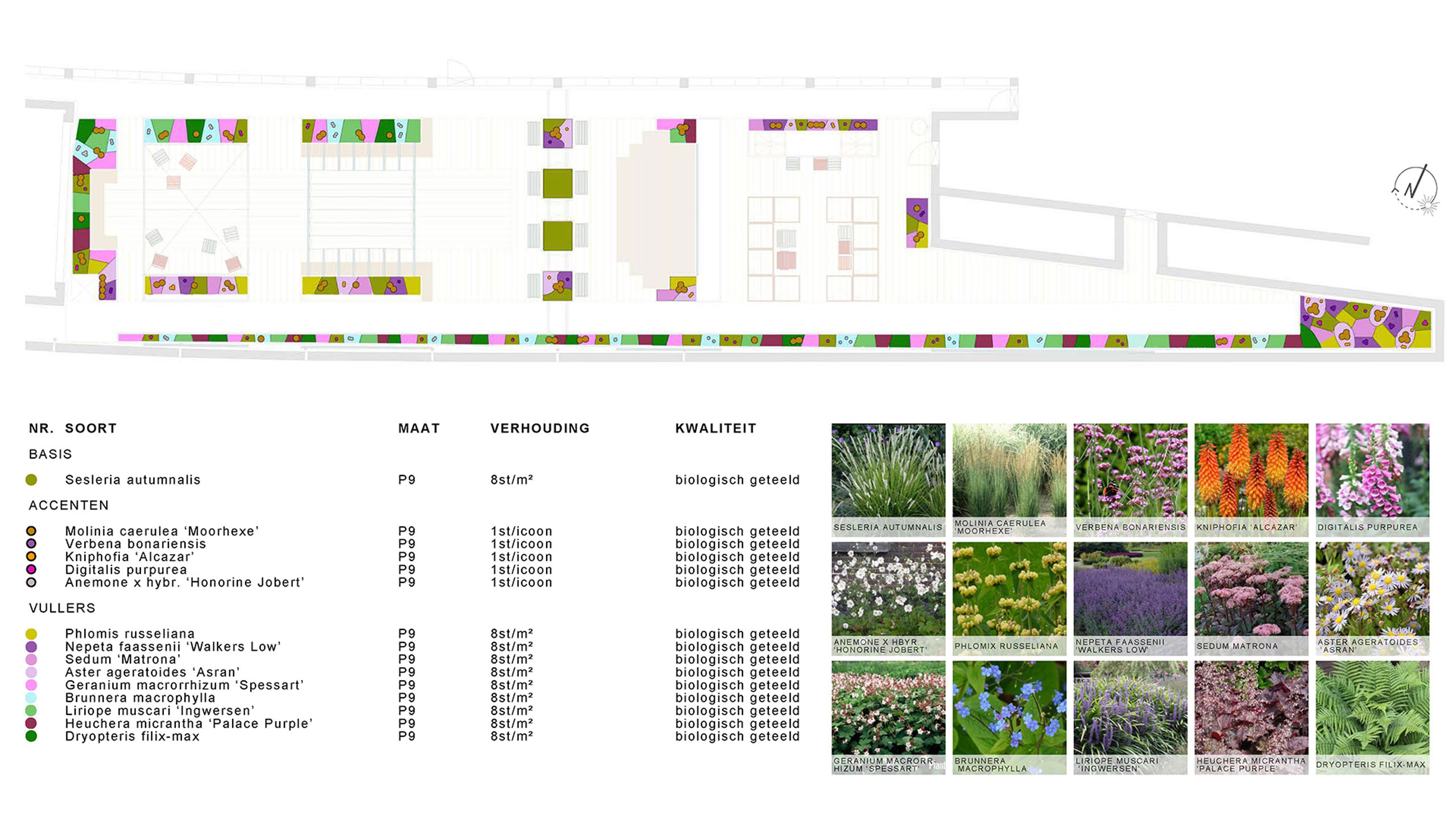 Ontwerp Onthuld Beplantinsgplan (1)