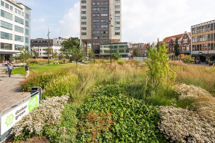 Aanleg van de openbare ruimte in Eindhoven 