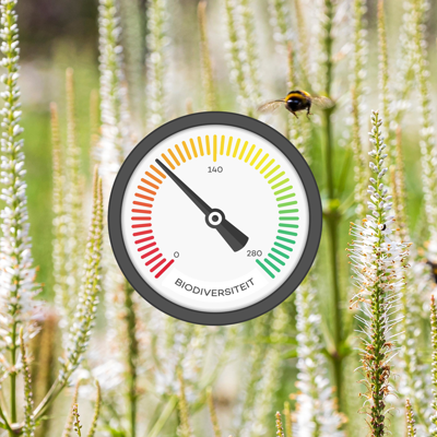 Meetlat Biodiversiteit (02)