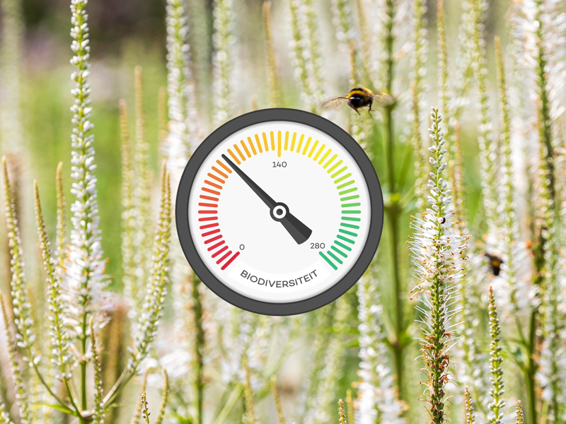 Meetlat Biodiversiteit (02)