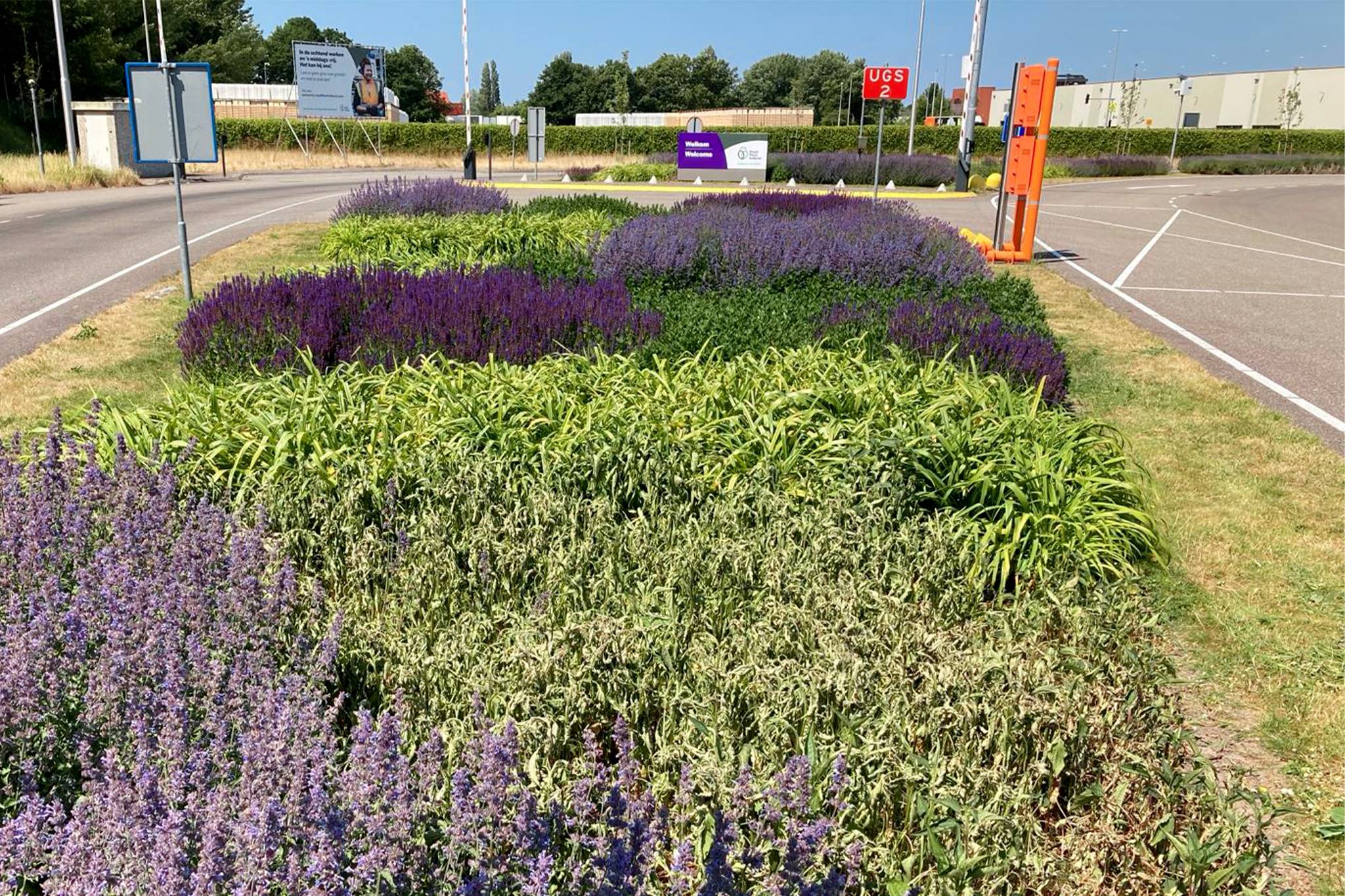 Royal FloraHolland - Groenonderhoud - Donker Groen