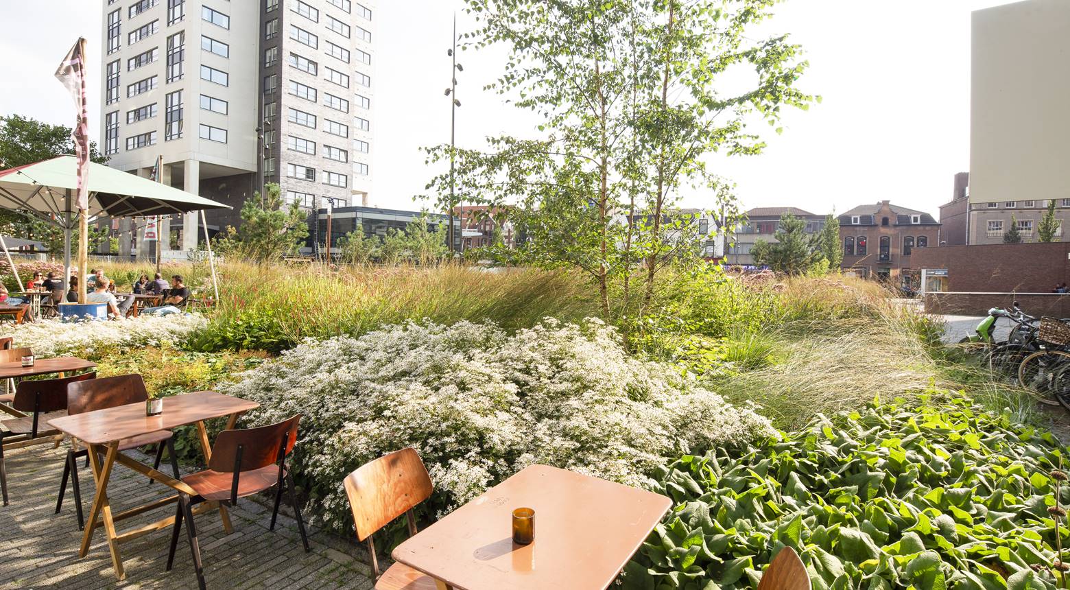 Project Clausplein - Donker Design - Van een vrijwel volledig versteend plein naar een groene, duurzame plek waar je wil verblijven