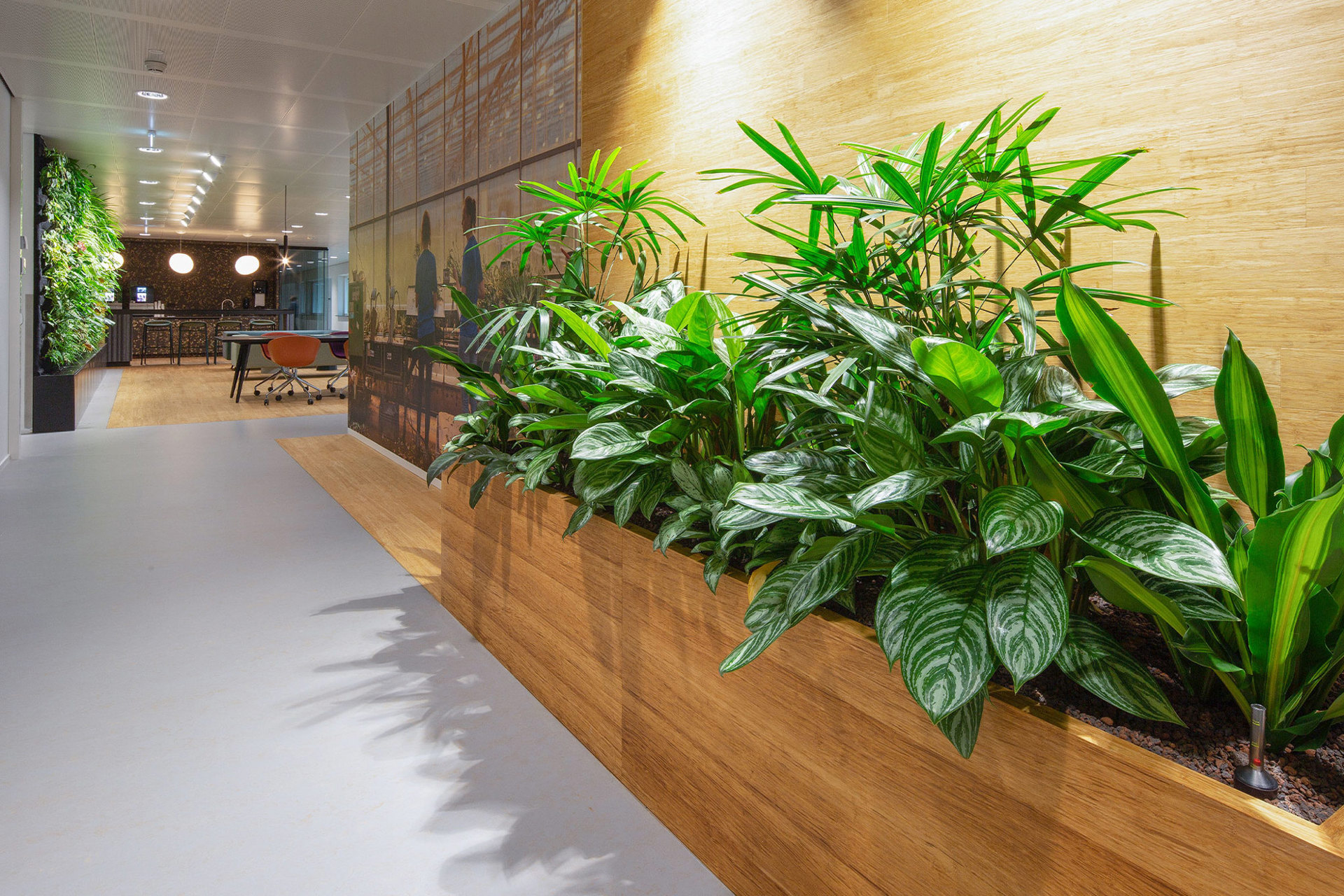 Royal Flora Aalsmeer (26)