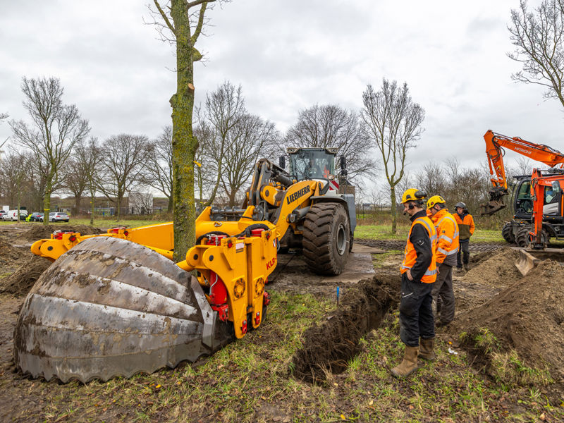 DG Haarlem Bomen081225 Binnelouwkatsma 104