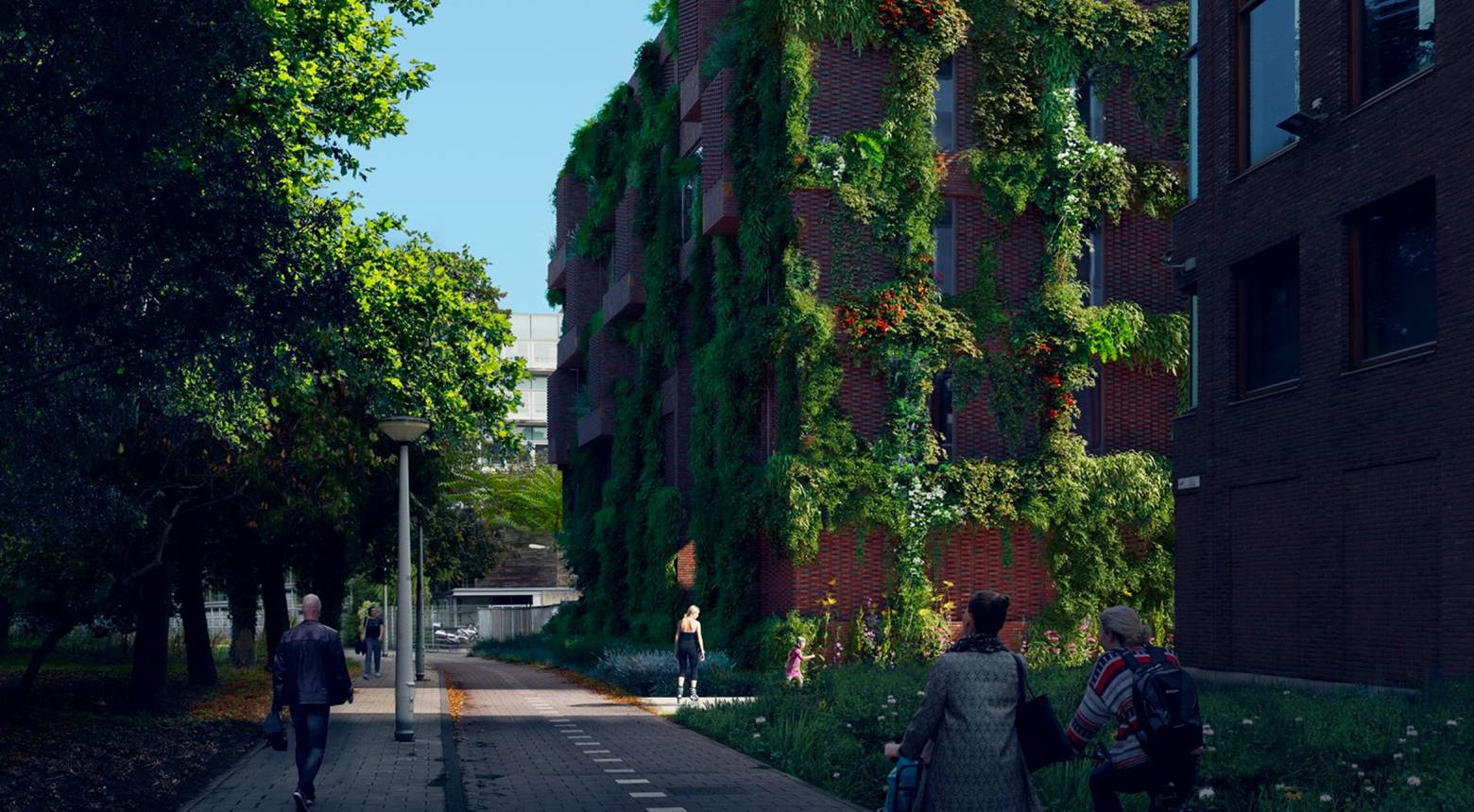 Project De Linné - Donker Design - Groene gevels, retentiedaken en hoge mate van natuurinclusief bouwen gaf een sterke relatie met de omgeving en stedelijke ecologie