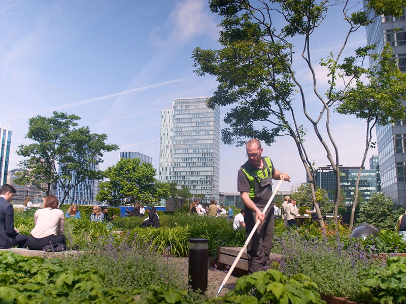 Onderhoud daktuin