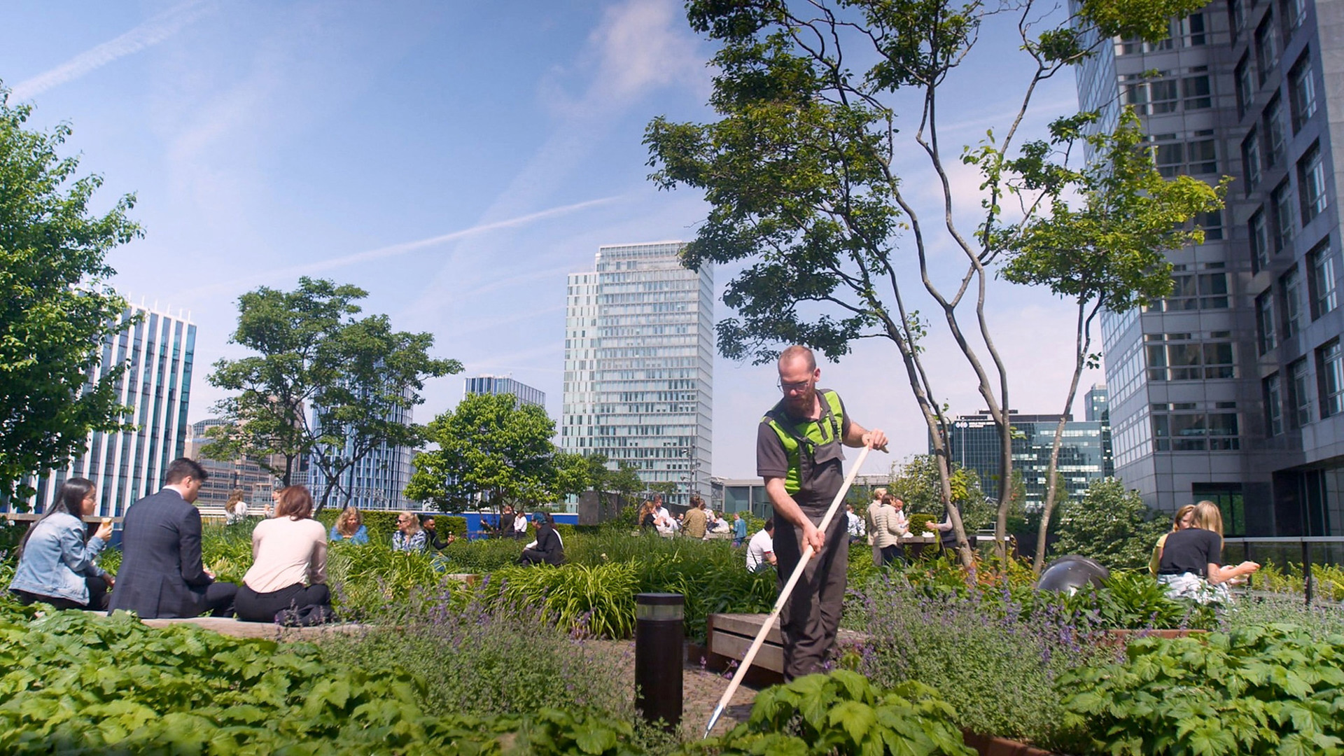 CV Onderhoud Daktuin