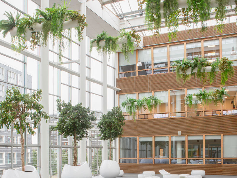 Hogeschool Amsterdam Fraijlemaborg (10)