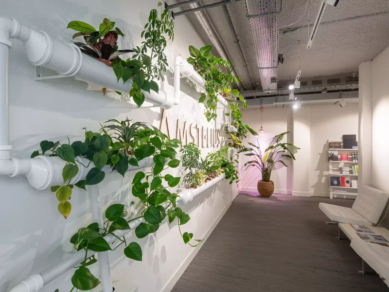 Tubegarden (2)