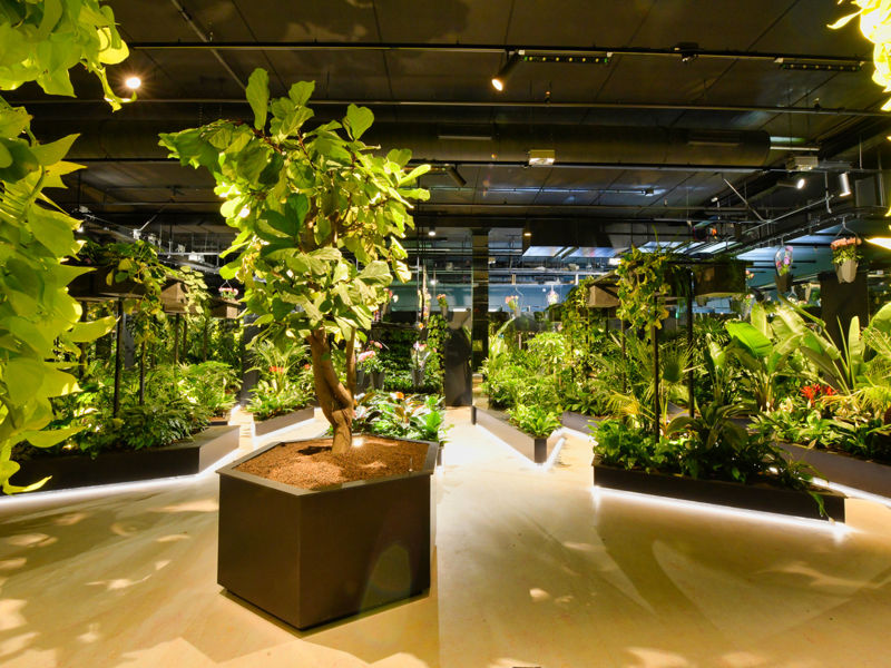Floriworld Aalsmeer (69)