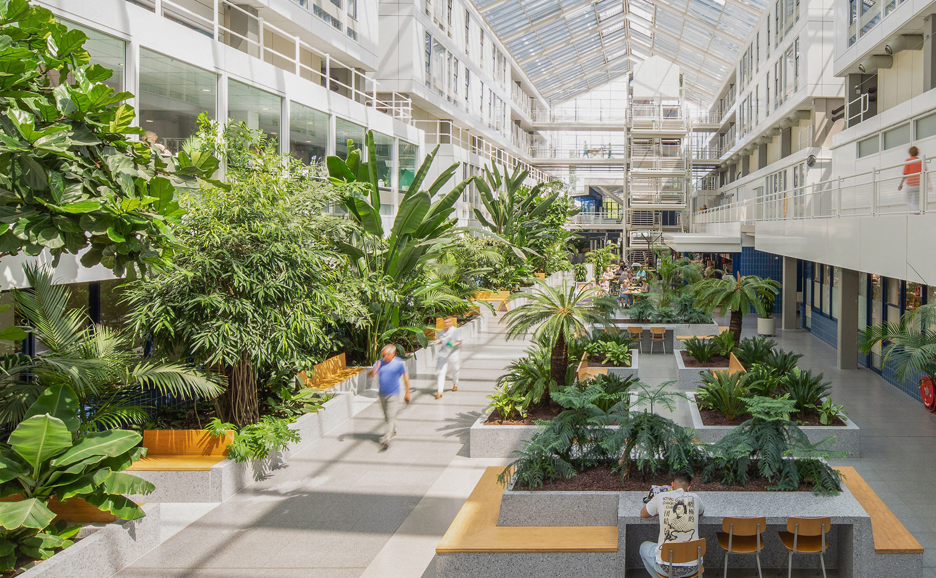 Dijklander Ziekenhuis Purmerend (5)