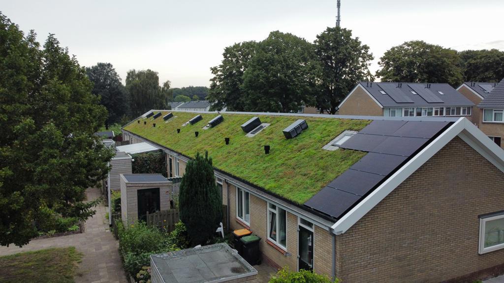 Groendaken Steenwijk (3)