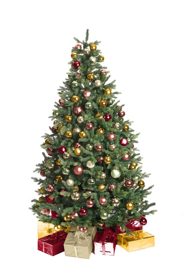 Kerstboom Amethist (210 - 500 cm) Image