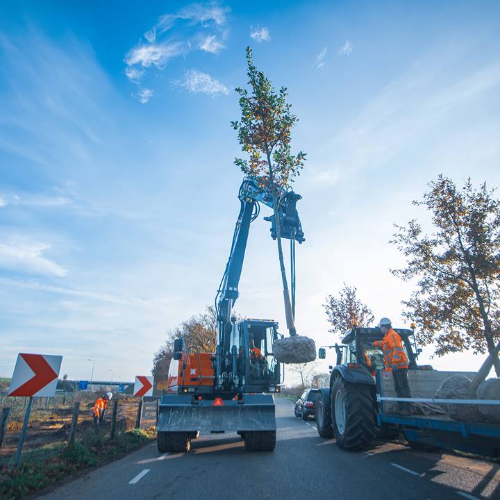 Project N280 Roermond - Bomen planten