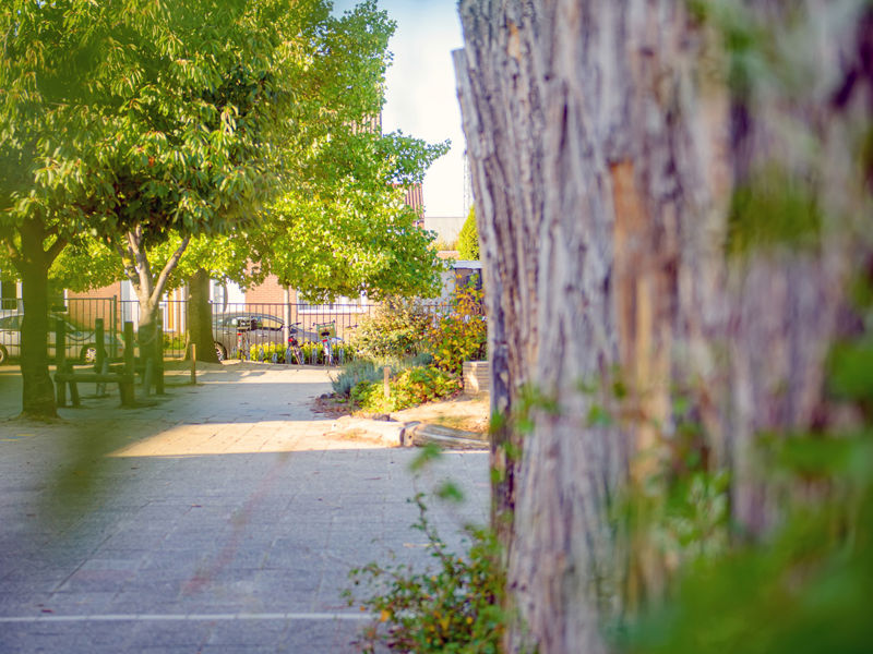 BS Leeve Roermond (14)