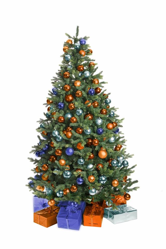 UITVERKOCHT | Kerstboom Opaal (150 - 800 cm)  Image