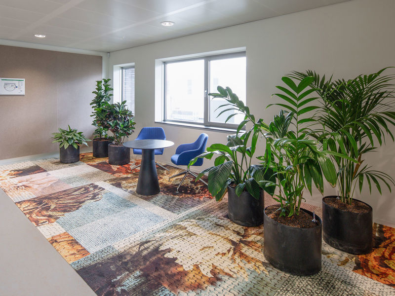 Royal Flora Aalsmeer (22)