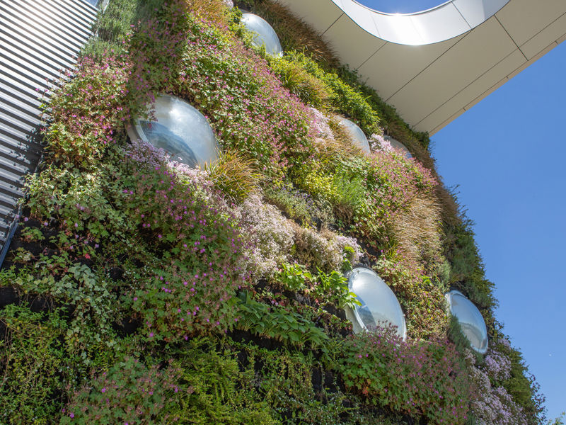 NHL Stenden Hogeschool Leeuwarden (7)