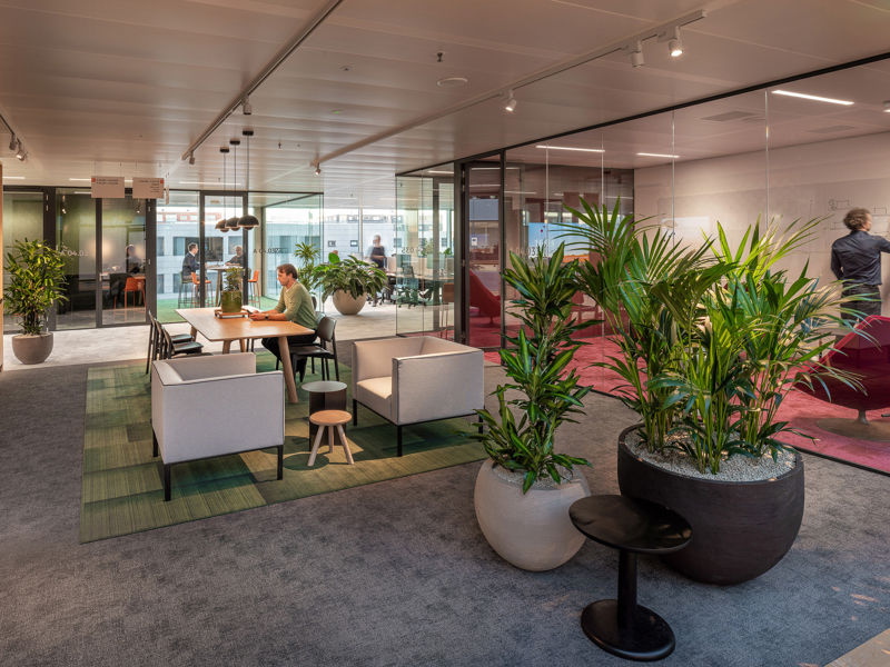 ING Amsterdam (13)
