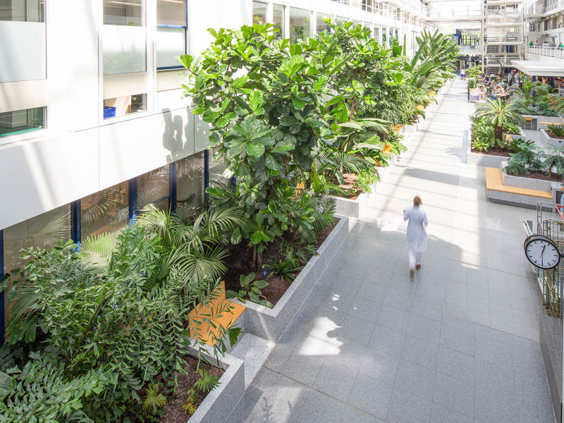 Dijklander Ziekenhuis Purmerend (13)