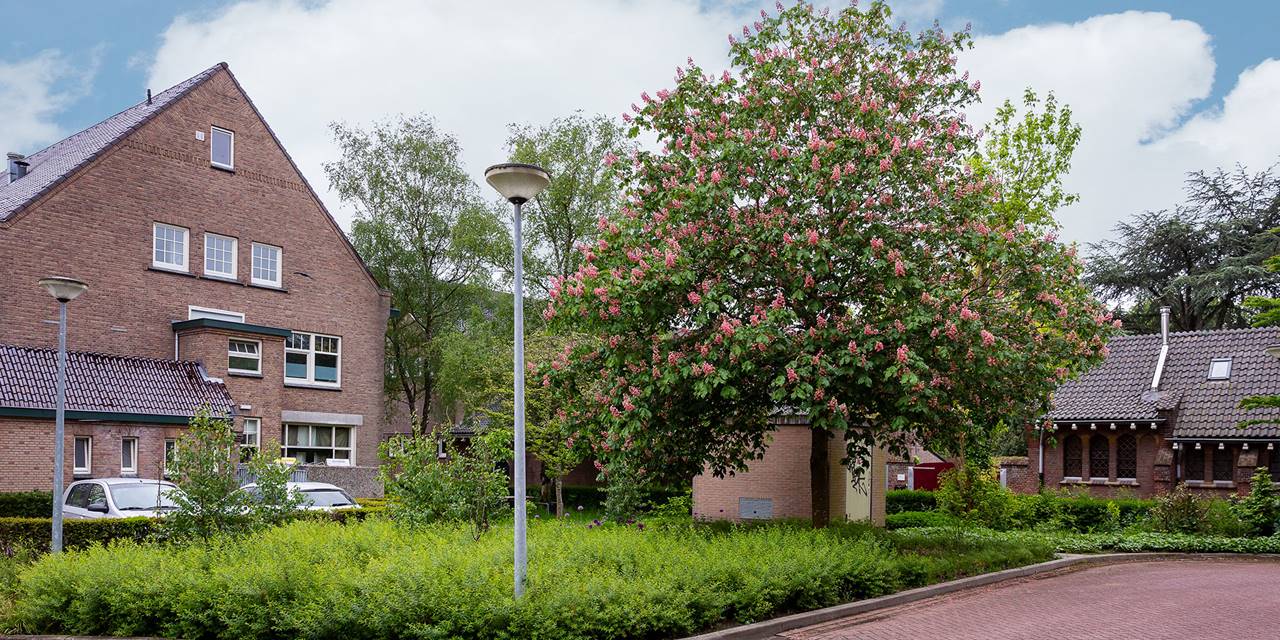 Laurentius wonen, Breda - Wij onderhouden het groen van deze woonomgevingen op basis van beeldkwaliteit