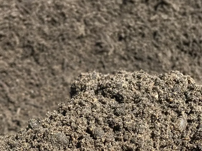 Ds Vaste Plantengrond