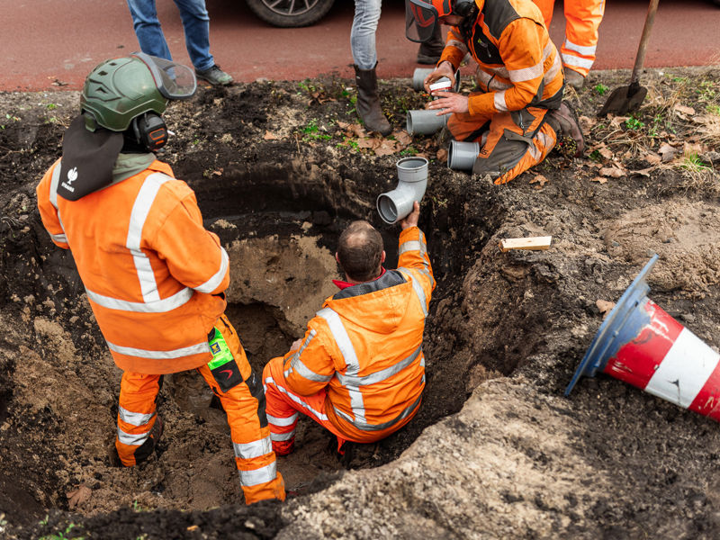 medewerkers van donker groen inspecteren bodem tijdens boomverplanting