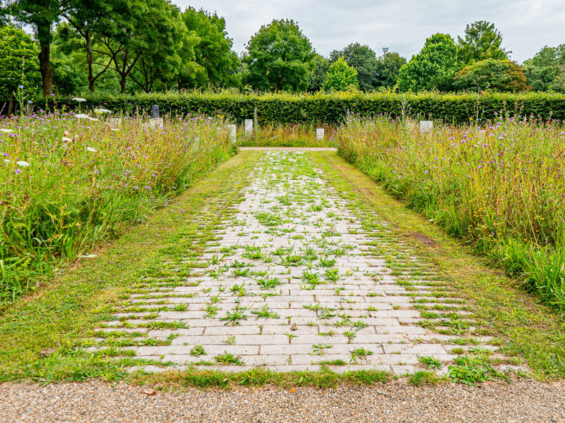 Zwijndrecht Asbestemming (12)